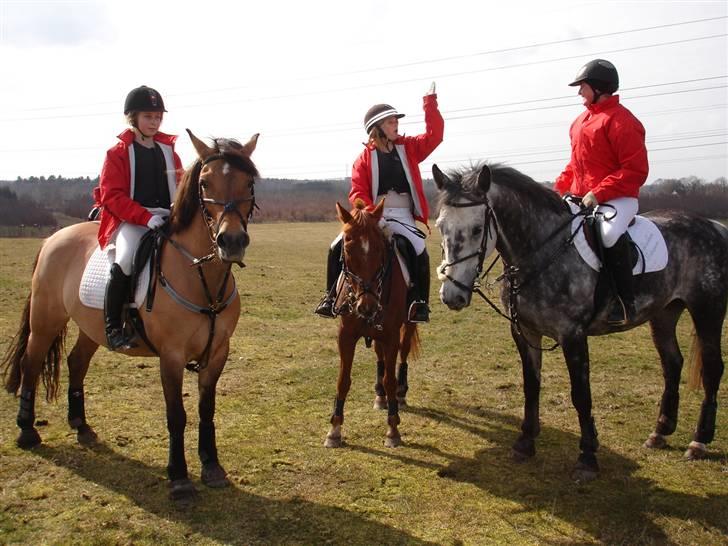 Babyjagt 2009 :) billede 19