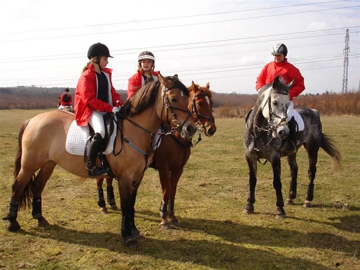 Babyjagt 2009 :) billede 20