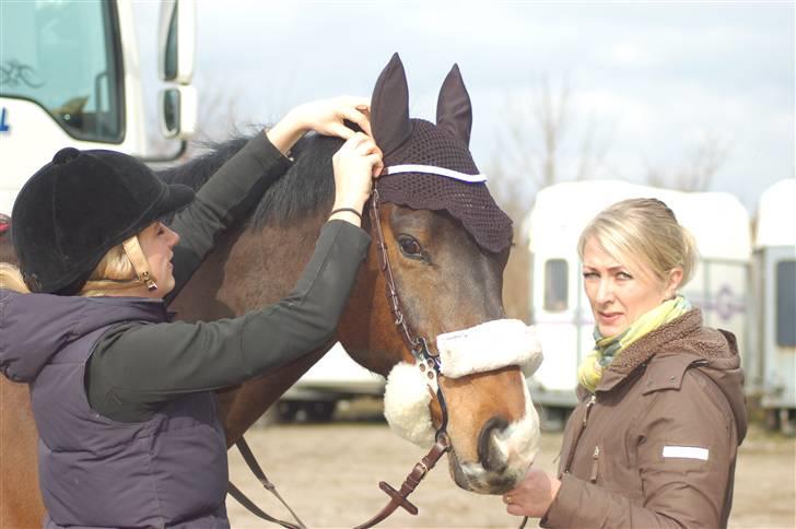 Aalestrup Rideklub  billede 2