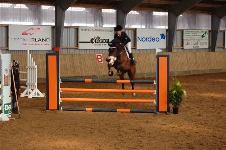 Aalestrup Rideklub  billede 3