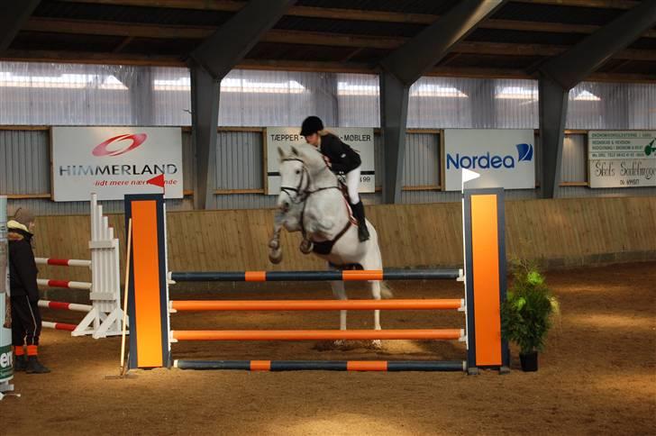 Aalestrup Rideklub  billede 4