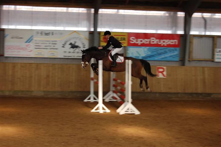 Aalestrup Rideklub  billede 5