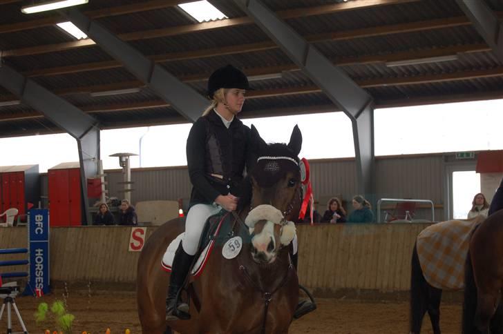 Aalestrup Rideklub  billede 6