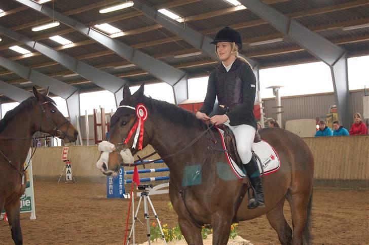 Aalestrup Rideklub  billede 7