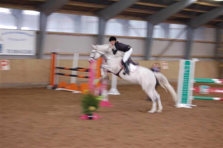 Aalestrup Rideklub  billede 8