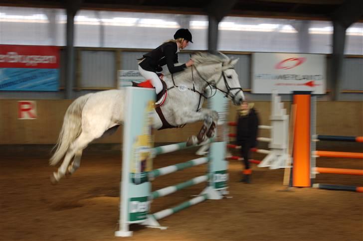 Aalestrup Rideklub  billede 10