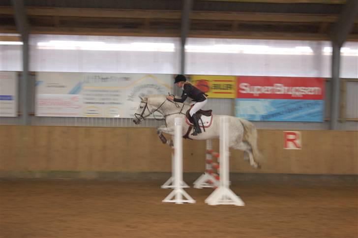 Aalestrup Rideklub  billede 11