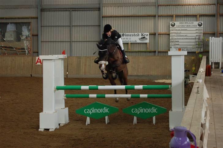 Aalestrup Rideklub  billede 12