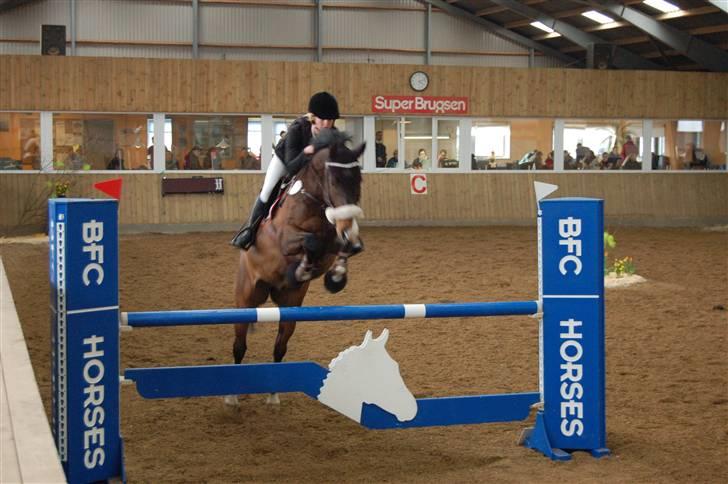 Aalestrup Rideklub  billede 13