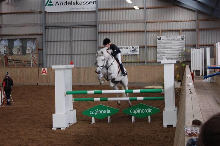 Aalestrup Rideklub  billede 14