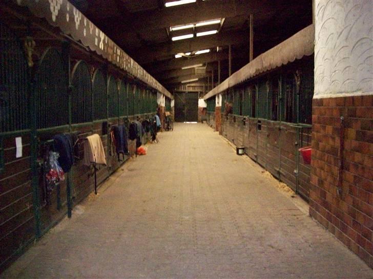 Billeder fra Tyskland - Hovedstalden på stedet. billede 2