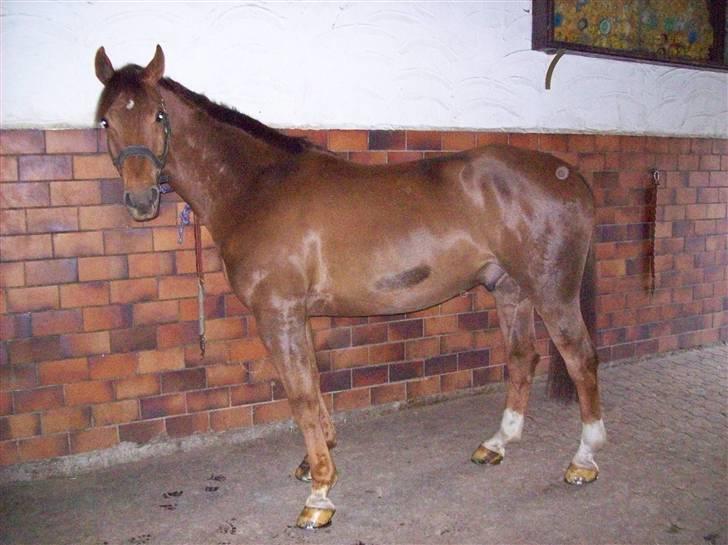 Billeder fra Tyskland - Fairbanks igen. billede 3