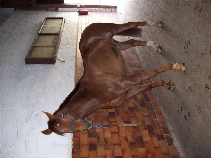 Billeder fra Tyskland billede 6