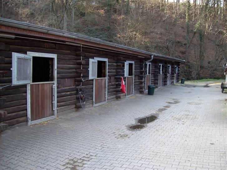 Billeder fra Tyskland - Udestaldene. billede 7