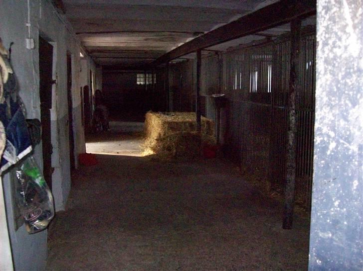 Billeder fra Tyskland - Stalden ved siden af huset. billede 8