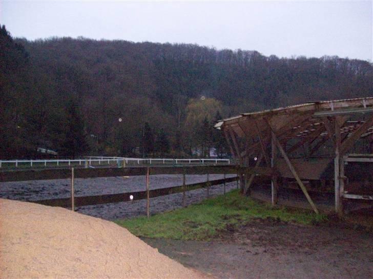 Billeder fra Tyskland - Skridtmaskinen, bjergen og springbanen billede 12