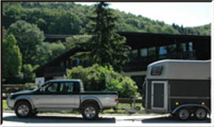 Billeder fra Tyskland - Gestüt Hausgrund. billede 15