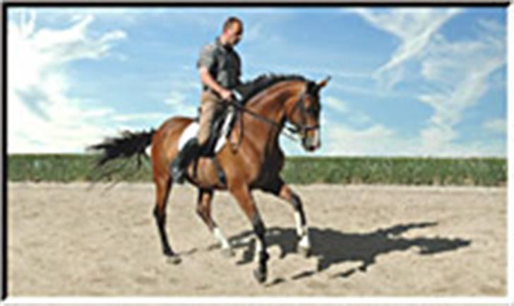 Billeder fra Tyskland - Herr Wilhelm Zegers i changement. Han var min chef, jeg lærte utroligt meget af ham og han er vildt dygtig til at ride. Han kan noget andre ikke kan. billede 16