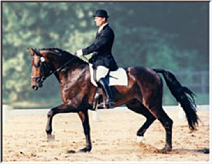 Billeder fra Tyskland - Herr Zegers. billede 19