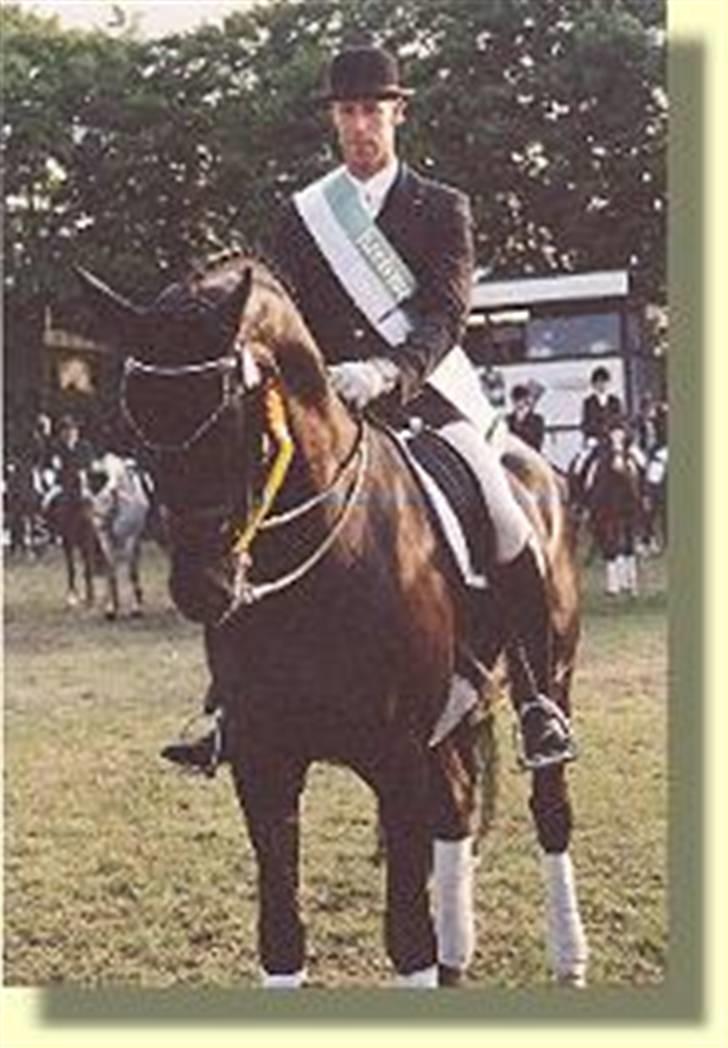 Billeder fra Tyskland - Grand Prix hest som jeg har redet på. Med han lavede jeg mine første 2'er:) Hans navn er D'Artagnon eller Dicki billede 26