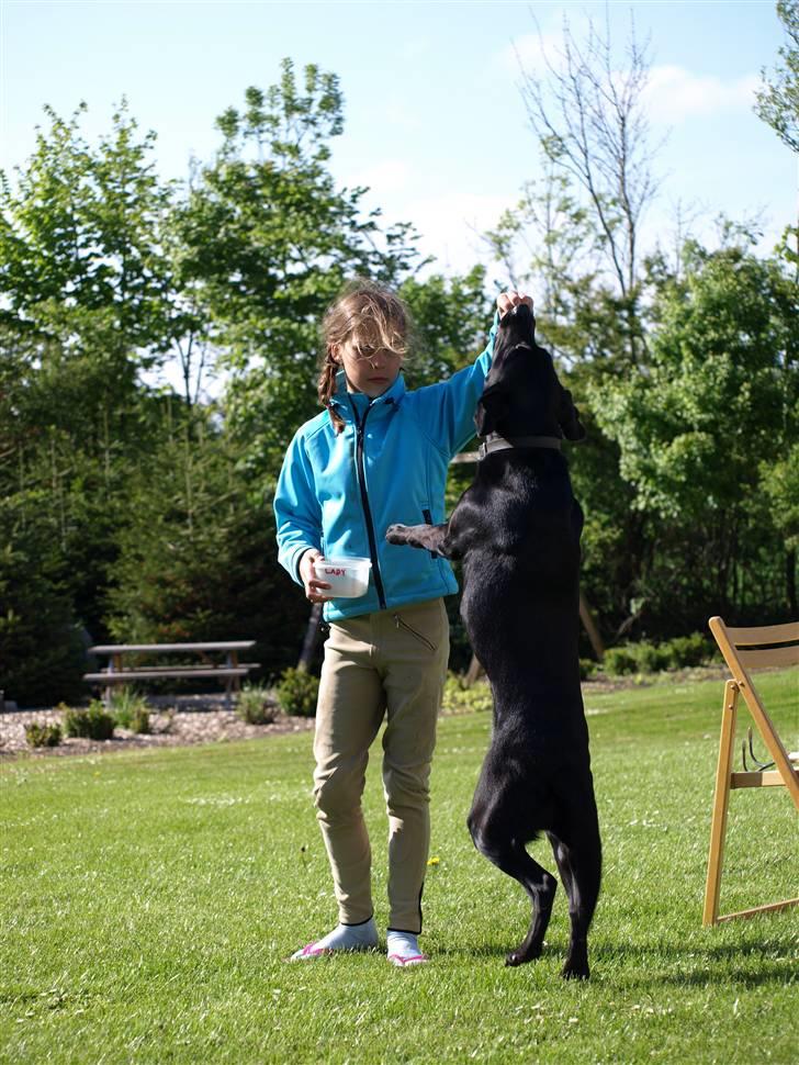 Vores fantastiske dyr :D billede 5