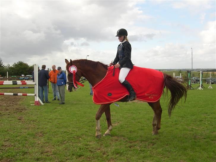 Billeder af Ponyer & Heste - Vi vandt også søhøjlandscuppen og Region Øst cuppen det år. billede 8