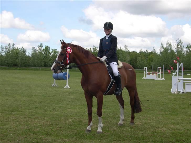 Billeder af Ponyer & Heste - Sam igen med en 1. pl. billede 9