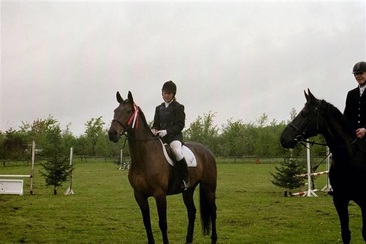 Billeder af Ponyer & Heste - Rebell var en god lære hest og på en mdr. var vi allerede udklasset i LC og LB. Vi havde kun starte 2 hjemmestævner og vi blev til det ene stævne bjerringbro bymestre i spring. Super hest.
Han er desværre død i dag pga. tarmslyng. billede 11