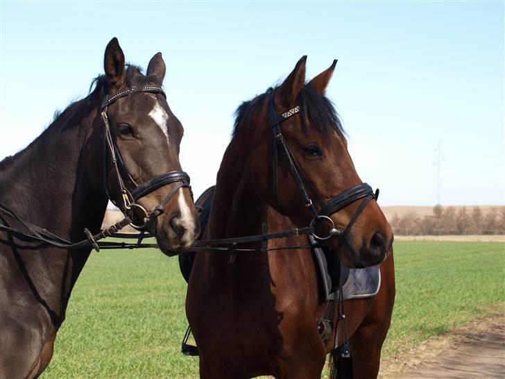  Min tid med Bansam <3 - 3 april 2009 
Madonna og Bansam på eventyr billede 8