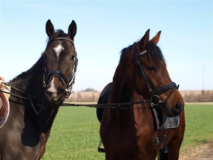  Min tid med Bansam <3 - 3 april 2009 
Madonna og Bansam på eventyr billede 1