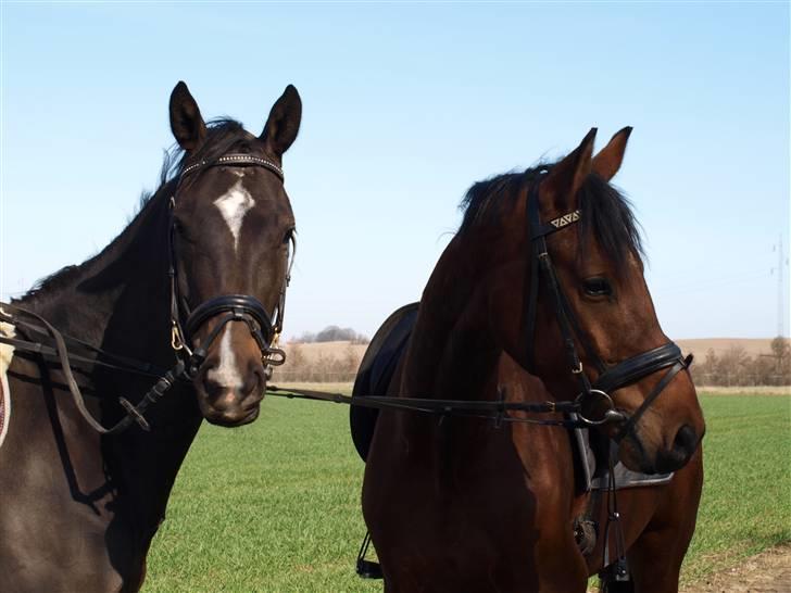  Min tid med Bansam <3 - 3 april 2009 
Madonna og Bansam på eventyr billede 7