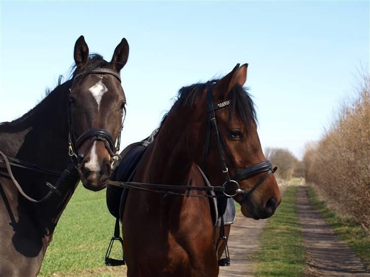  Min tid med Bansam <3 - 3 april 2009 
Madonna og Bansam på eventyr billede 6