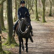 Træning v. Møllesøen