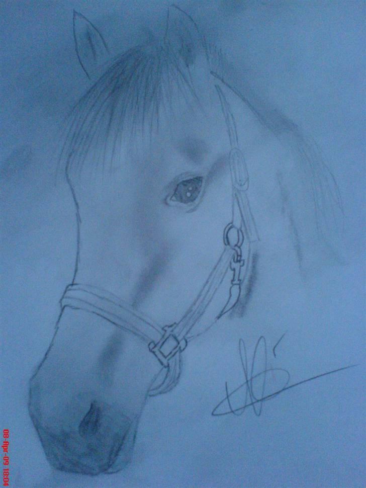 Tegne modeller :D - Smukt ikk?! billede 1