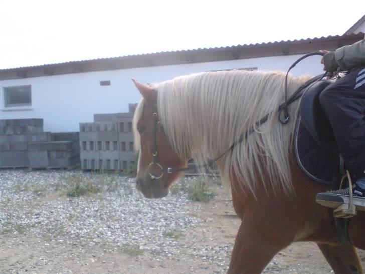 Søde partner billede 1