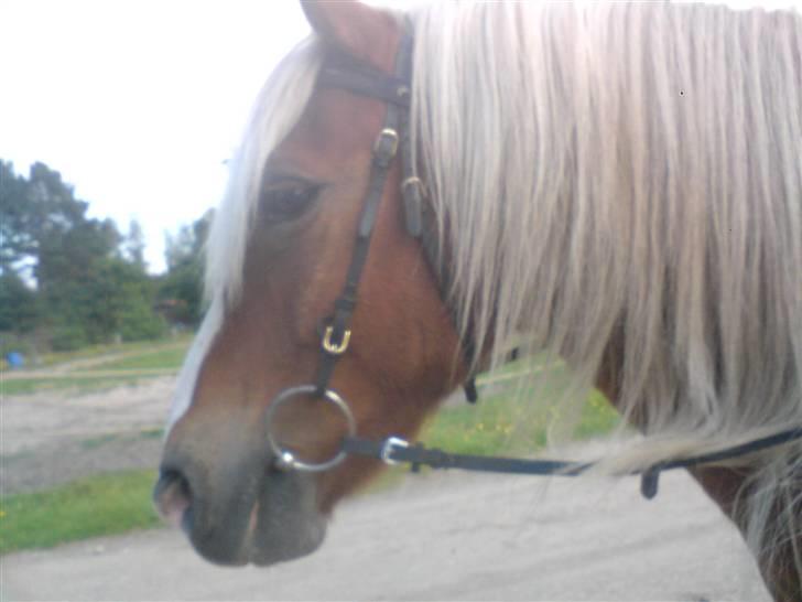 Søde partner billede 2