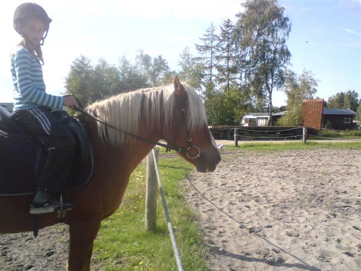 Søde partner billede 3