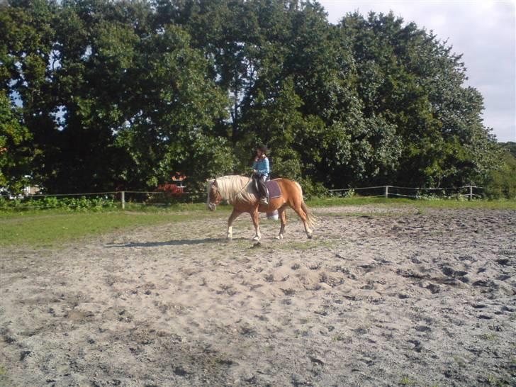 Søde partner billede 4