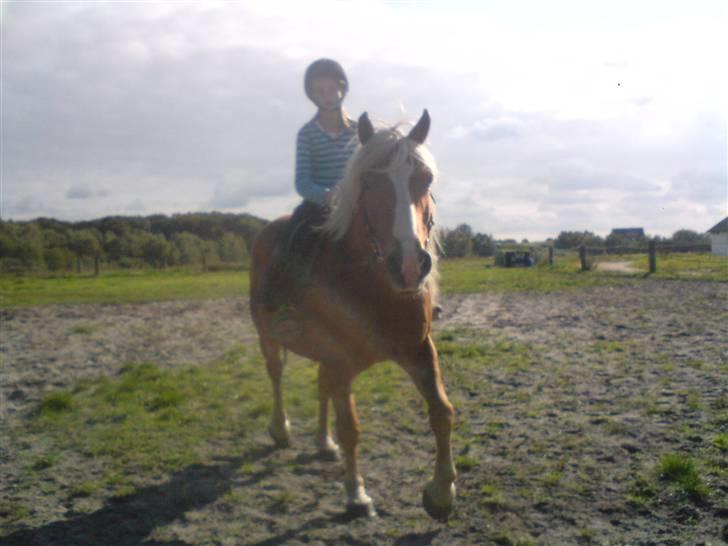 Søde partner billede 5