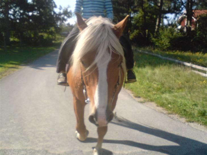 Søde partner billede 6