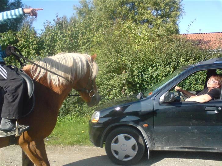 Søde partner billede 7