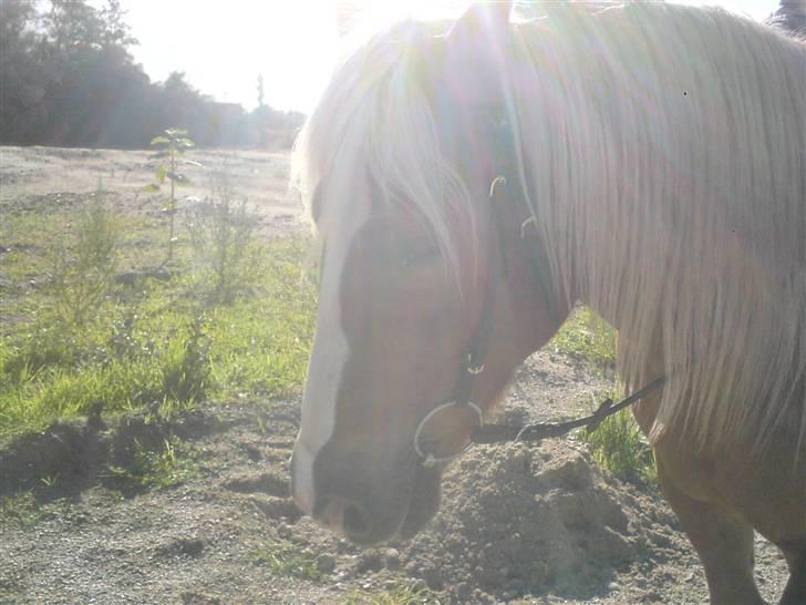 Søde partner billede 8