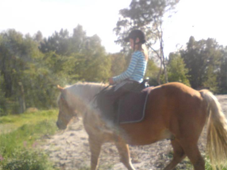 Søde partner billede 9