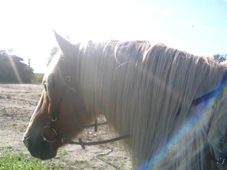 Søde partner billede 10