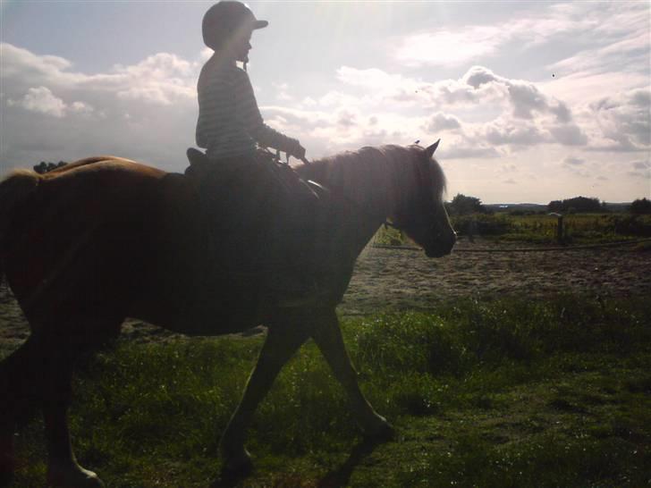 Søde partner billede 11