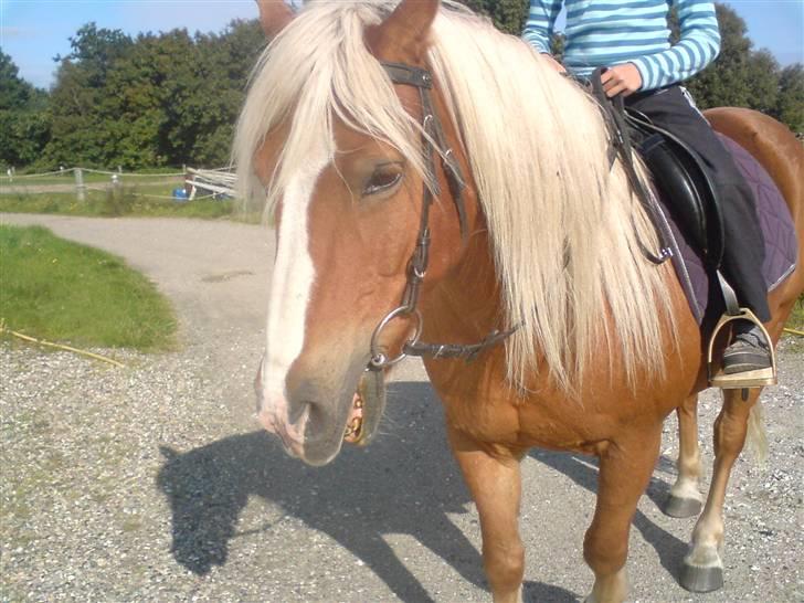 Søde partner billede 12