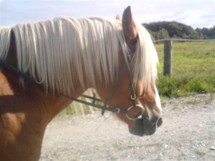 Søde partner billede 13