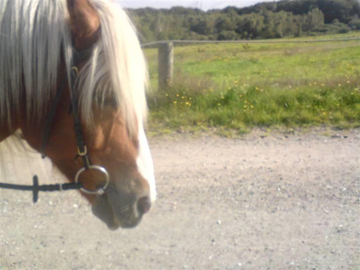 Søde partner billede 14