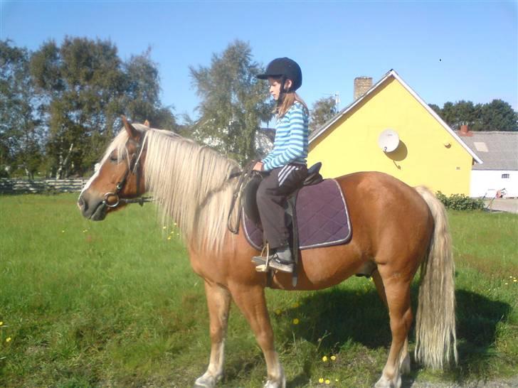 Søde partner billede 15