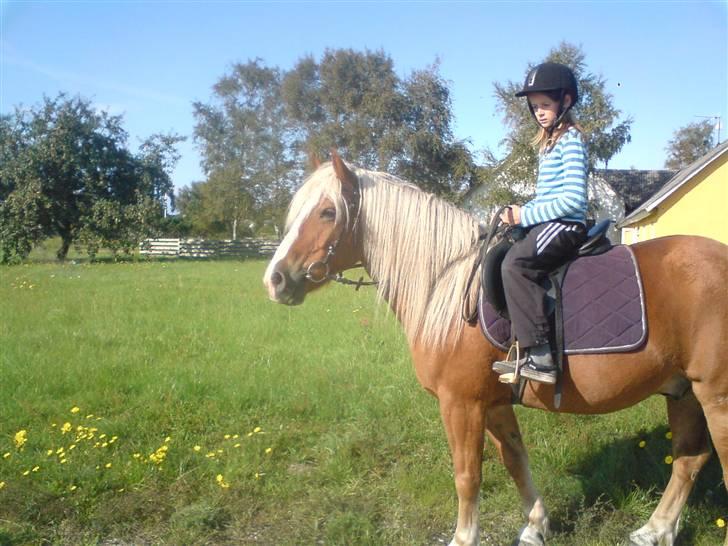 Søde partner billede 16